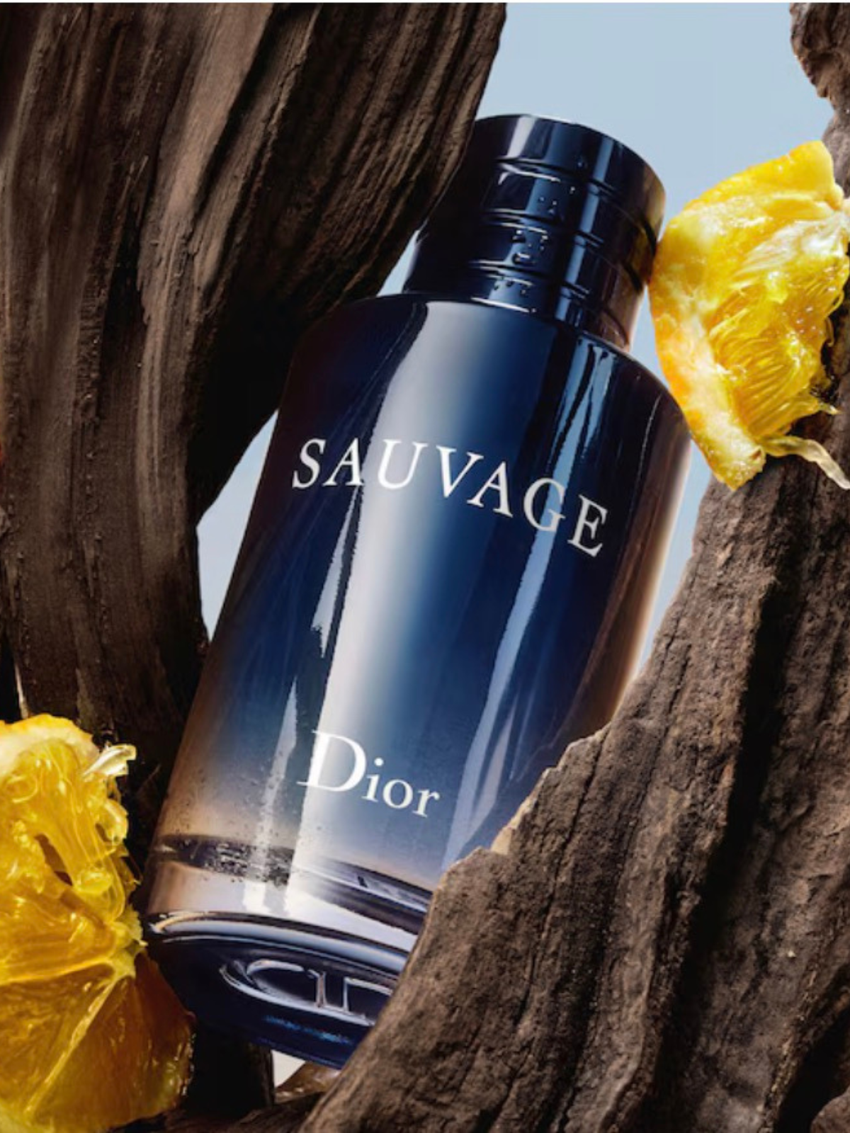 DIOR: Sauvage - Eau de toilette pour homme - Notes épicées, boisées & ambrées 100ml